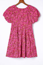 Floral Print Puff Sleeve V Neck Mini Dress