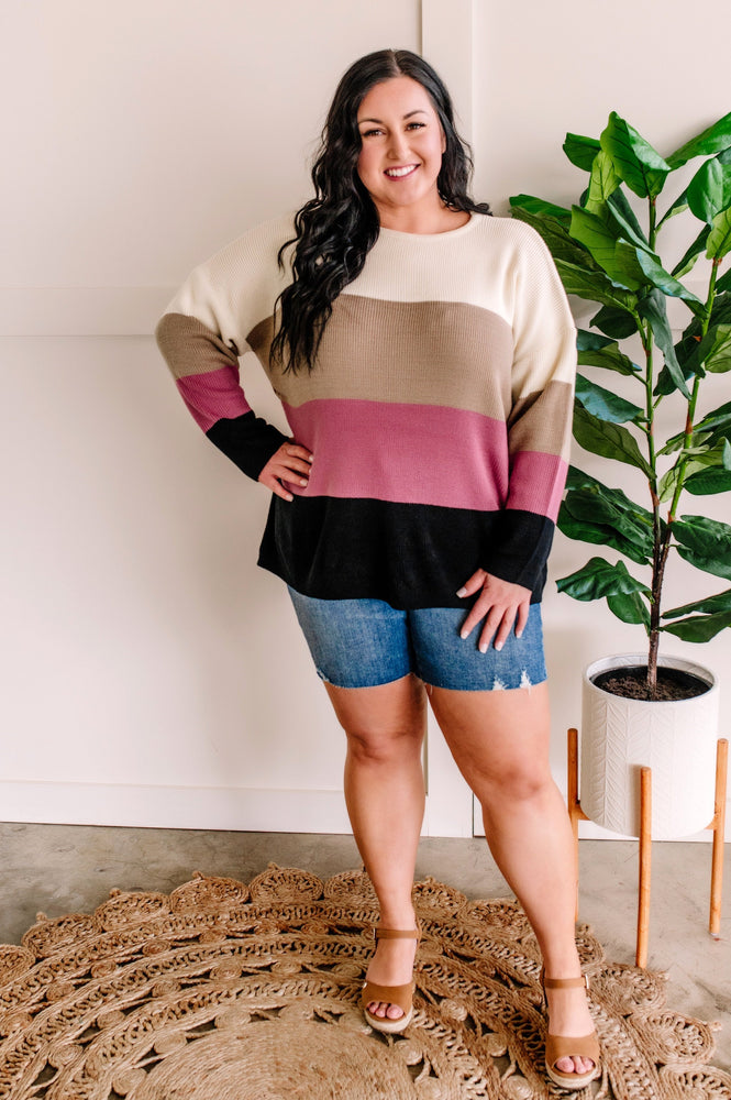 Ivory, Mocha, Berry, & Black Color Block Sweater