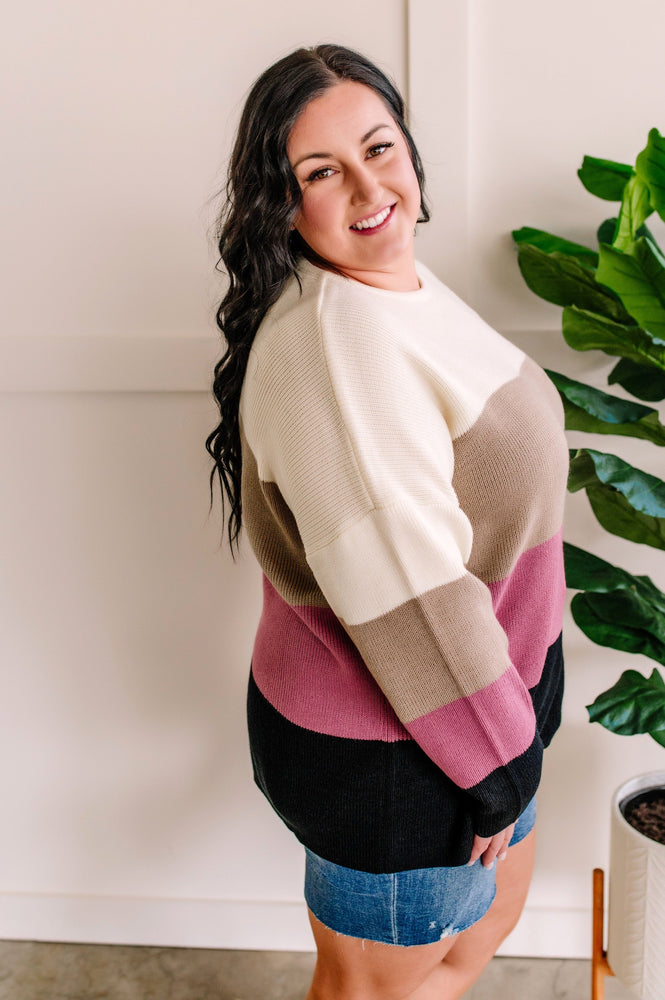 Ivory, Mocha, Berry, & Black Color Block Sweater