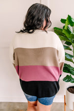 Ivory, Mocha, Berry, & Black Color Block Sweater