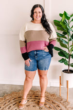 Ivory, Mocha, Berry, & Black Color Block Sweater
