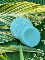Succulent Shampoo and Conditioner Bars